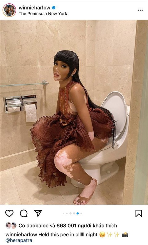 Sao Met Gala bi chup trom khi dang di toilet: Rihanna dau teu?-Hinh-6