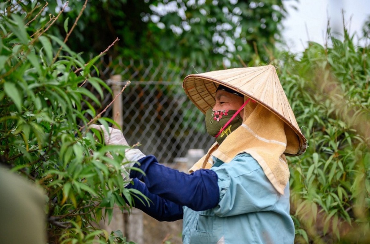 Tuot la dem tien - Nghe la nguoi Viet chi lam gan Tet