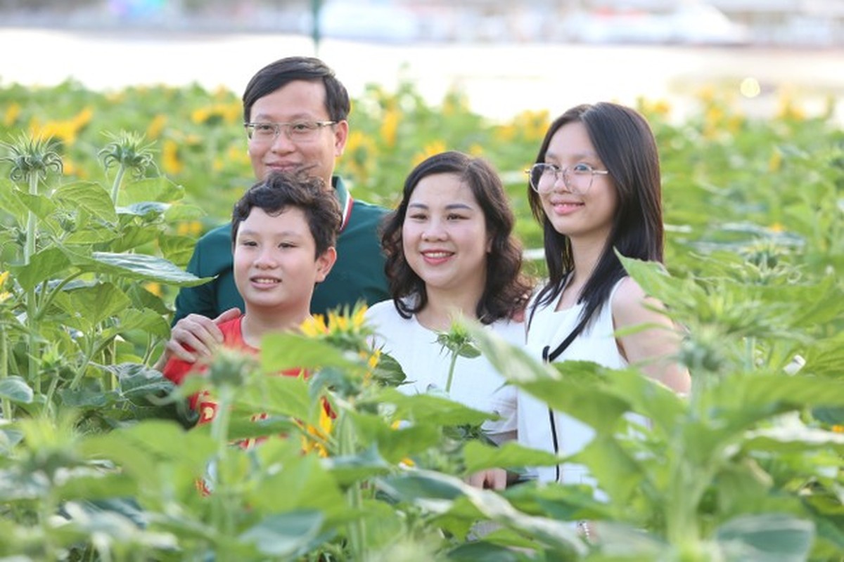 Canh dong hoa huong duong ben song Sai Gon dong nghit nguoi ngay cuoi nam-Hinh-7