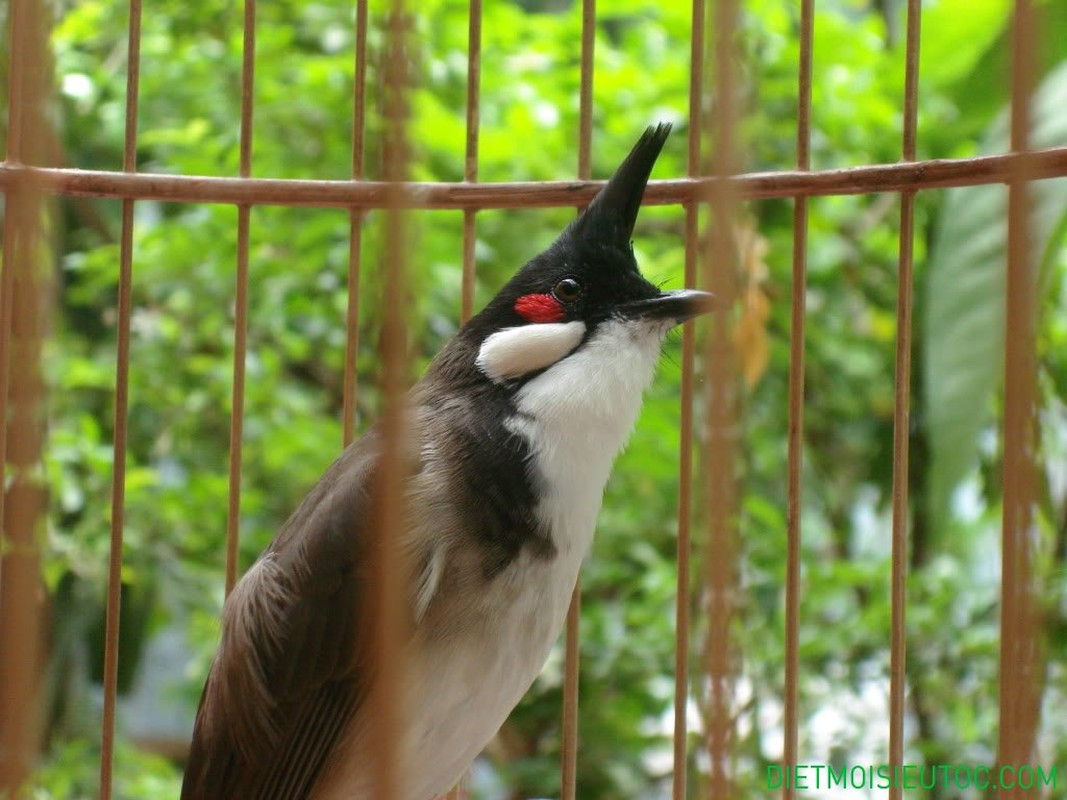 Sinh thang Am lich nay khong thieu quy nhan-Hinh-4