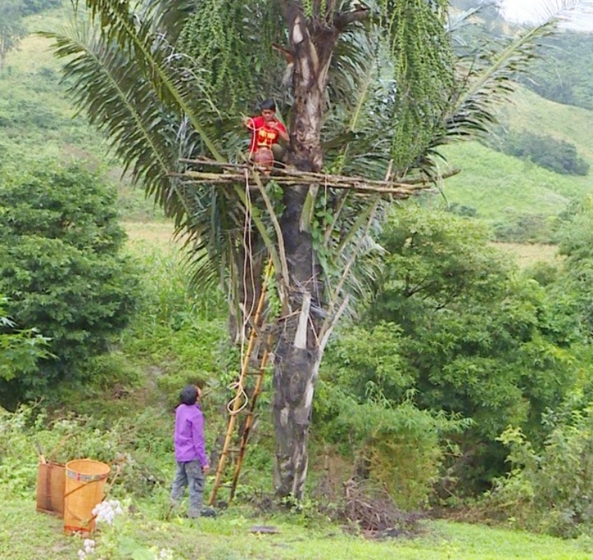 Nghe la: 