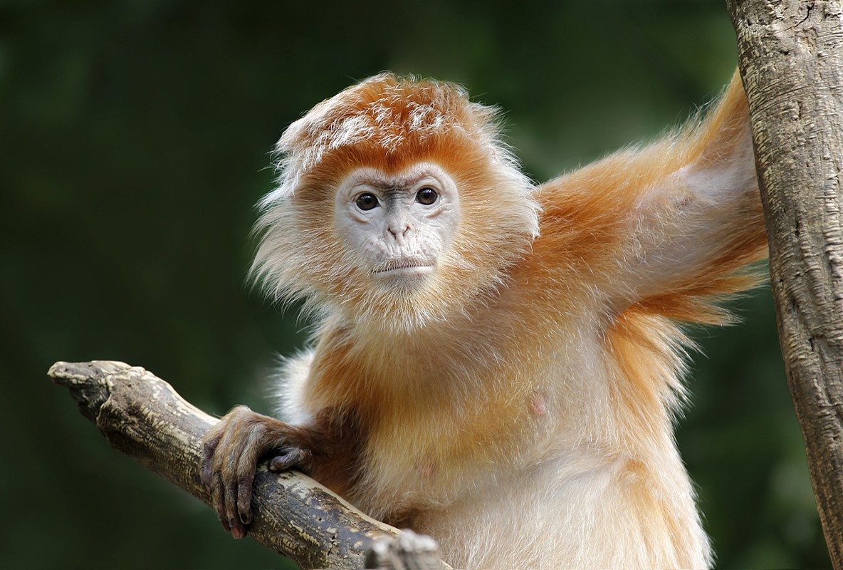 49 ngay toi loc phu kin san: 3 tuoi nay may tui ma dung-Hinh-11