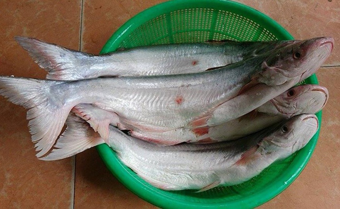 Loai ca co mui la gia 700.000 dong/kg, khong co hang de ban-Hinh-3