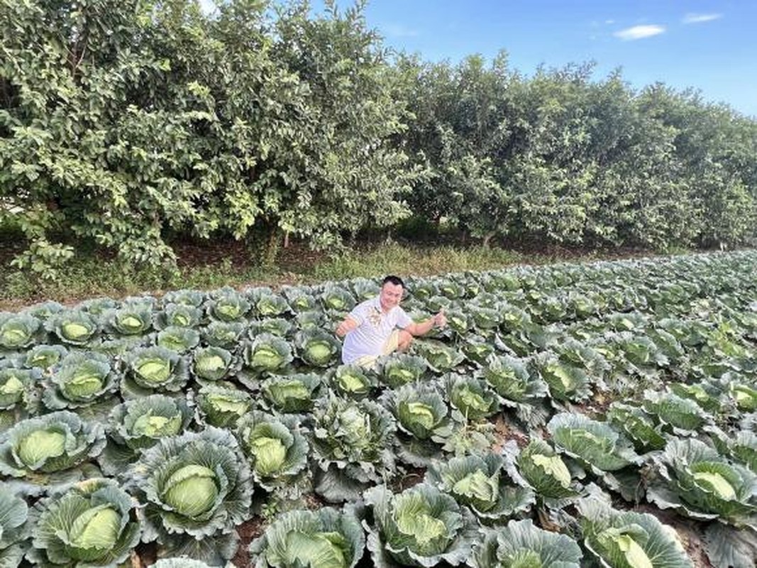 Vo chong Tu Long dua con di tham vuon, lo bat dong san 