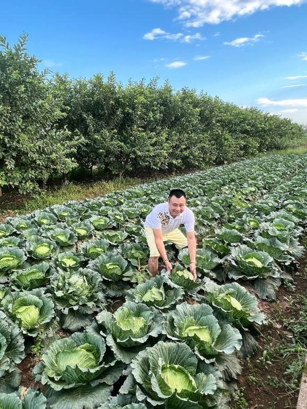 Vo chong Tu Long dua con di tham vuon, lo bat dong san 