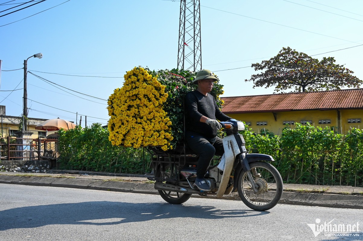 Hoa khong du ban, nguoi dan Tay Tuu gieo luon giong moi sau thu hoach-Hinh-11