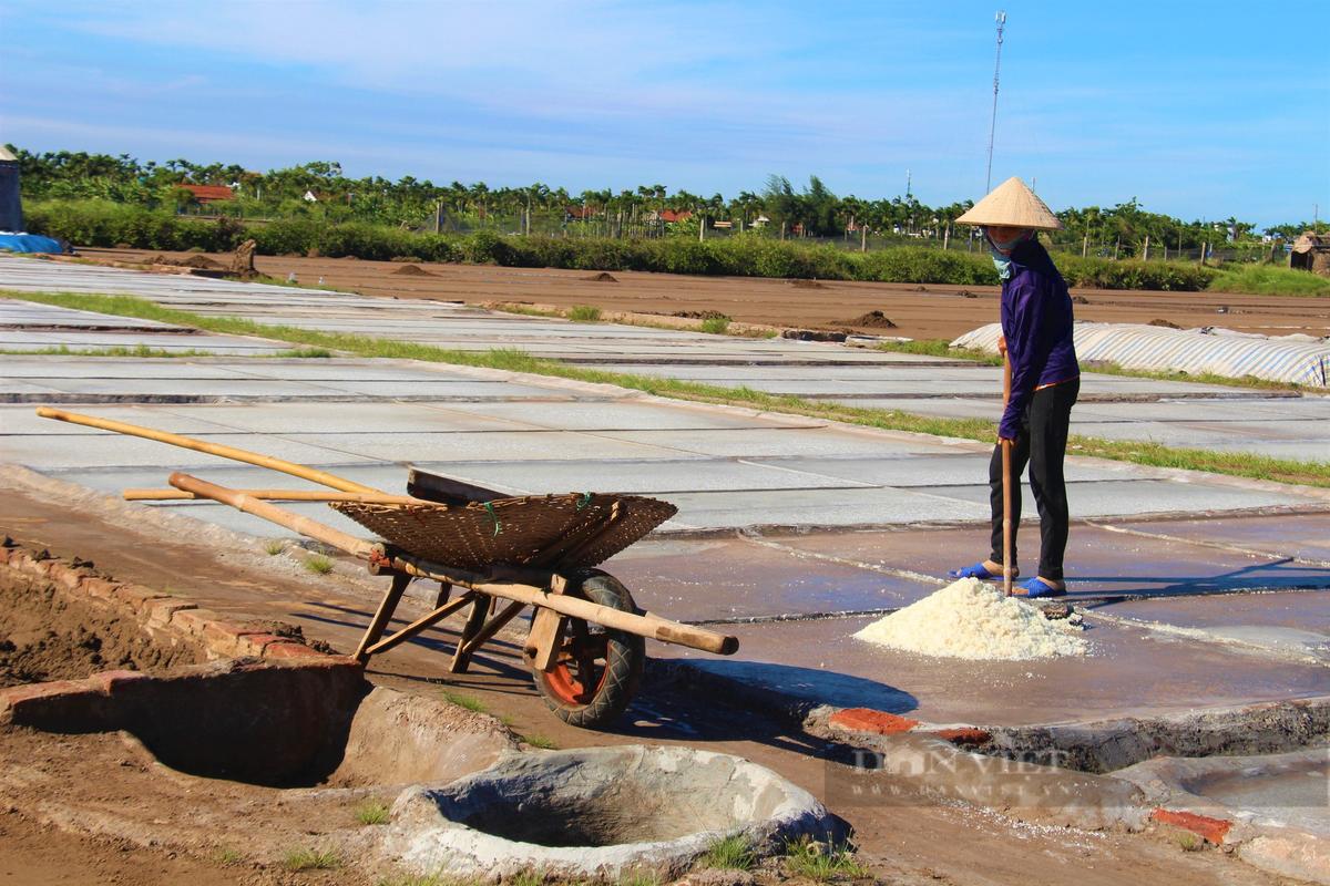 Can canh nong dan Nam Dinh lam muoi giua canh dong nang chang chang-Hinh-3