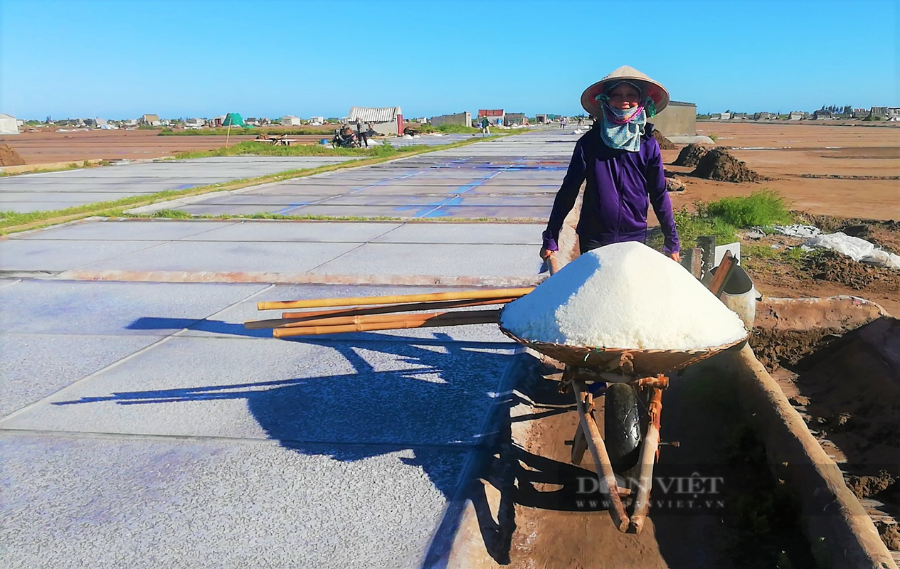 Can canh nong dan Nam Dinh lam muoi giua canh dong nang chang chang-Hinh-5