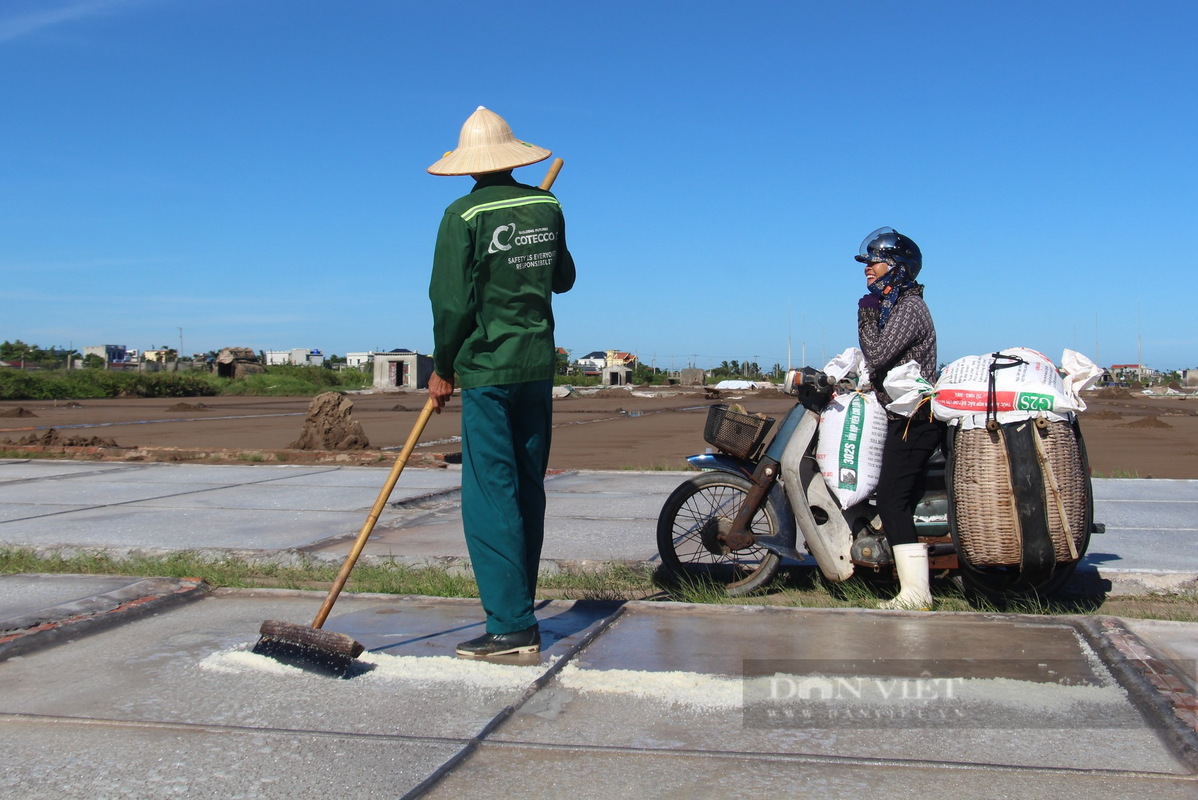 Can canh nong dan Nam Dinh lam muoi giua canh dong nang chang chang-Hinh-7