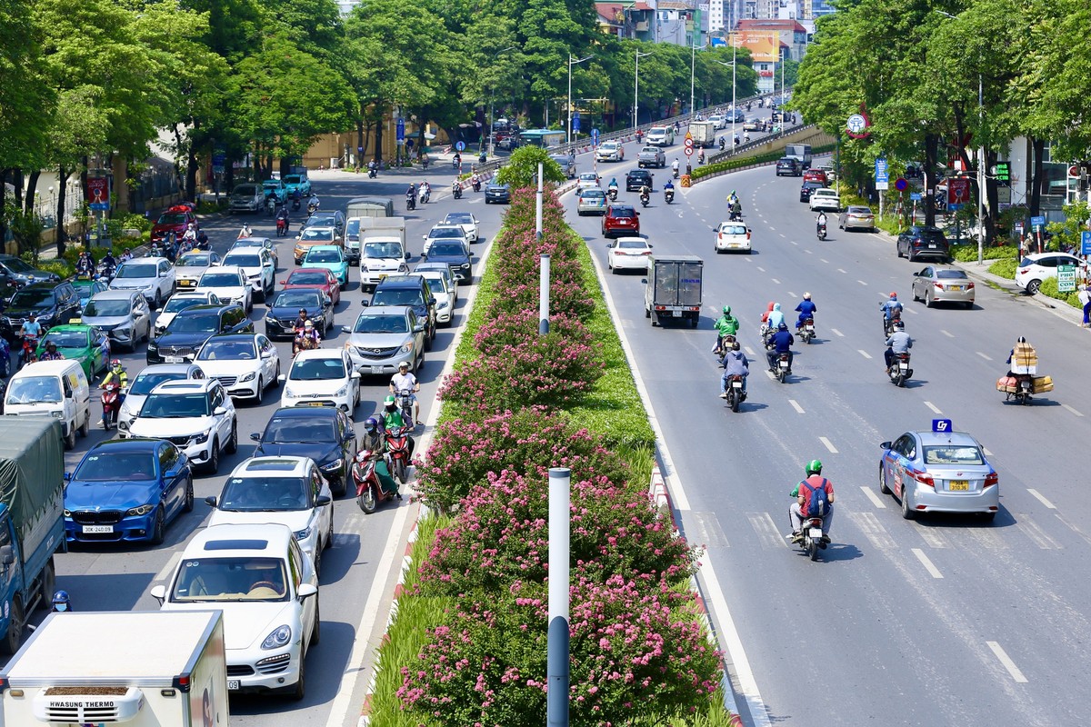 Gioi tre thich thu khoe sac ben hoa tuong vi no ro-Hinh-5