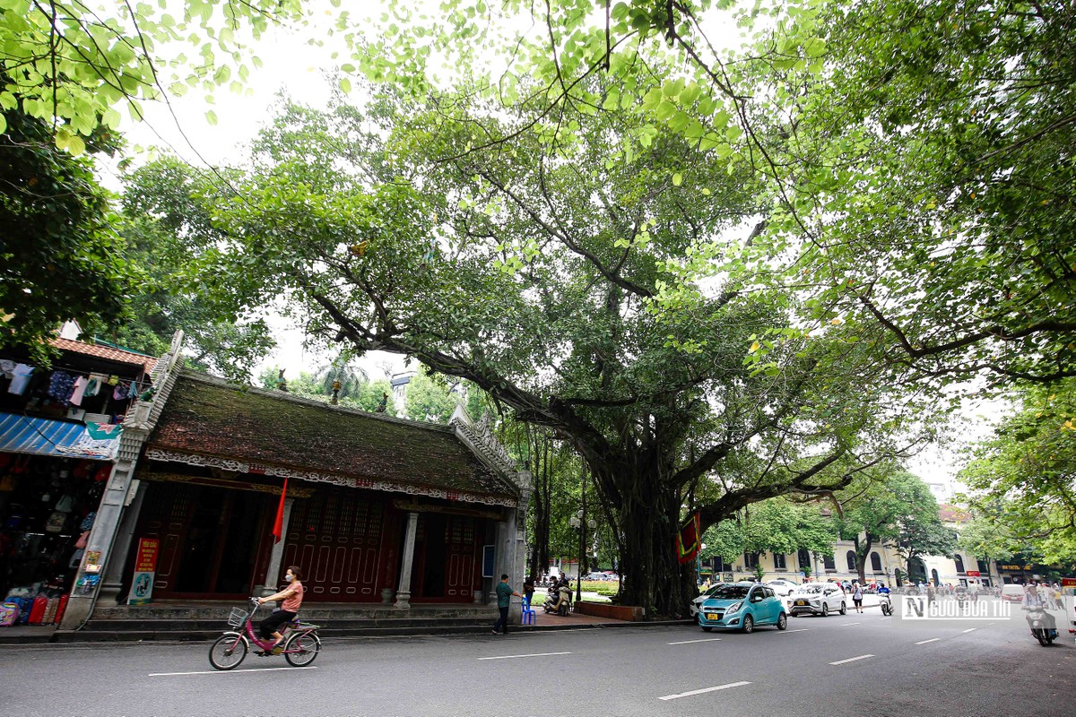 Ha Noi: Ngam nhung cong trinh van hoa, lich su cua quan Hoan Kiem-Hinh-7