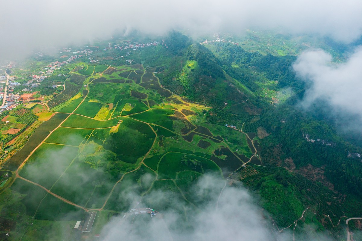 Mua hai che o Moc Chau, du khach san hoang hon dep 