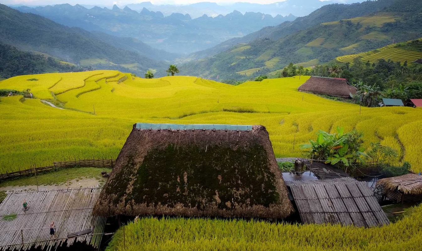 Den Xa Phin ngam lua vang, tham nhung mai nha phu reu xanh-Hinh-4