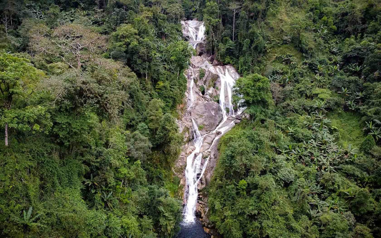 Den Xa Phin ngam lua vang, tham nhung mai nha phu reu xanh-Hinh-8