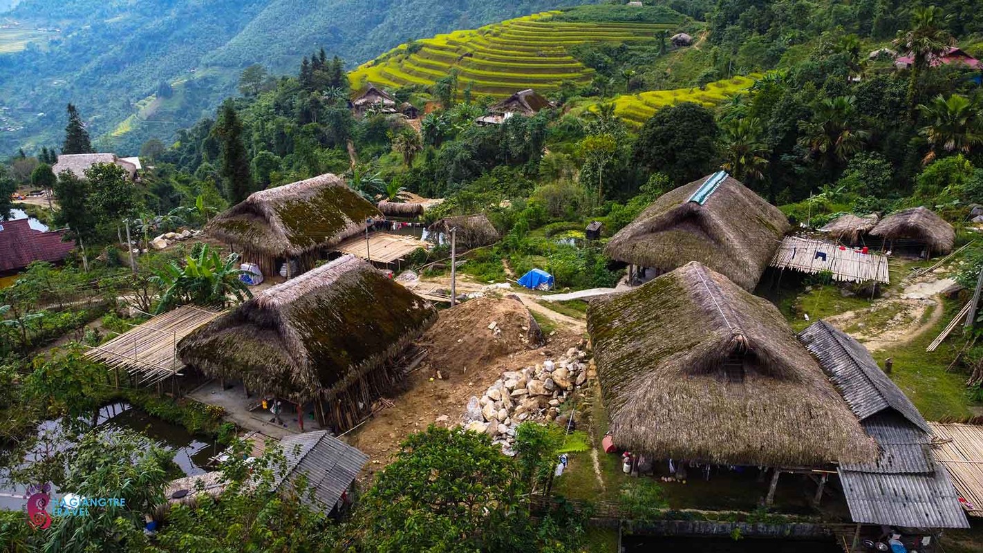 Den Xa Phin ngam lua vang, tham nhung mai nha phu reu xanh-Hinh-9