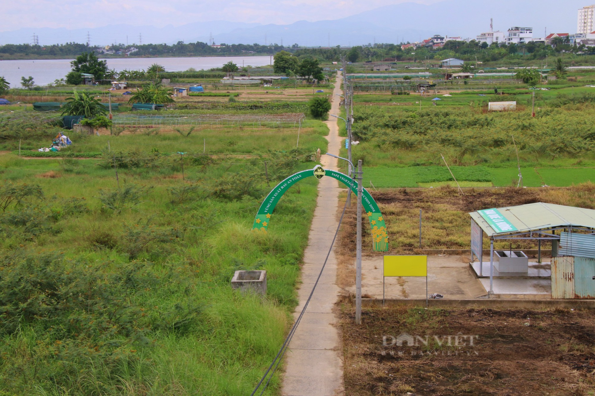 Canh tieu dieu, rau cu chet kho tai vung rau sach lon nhat Da Nang