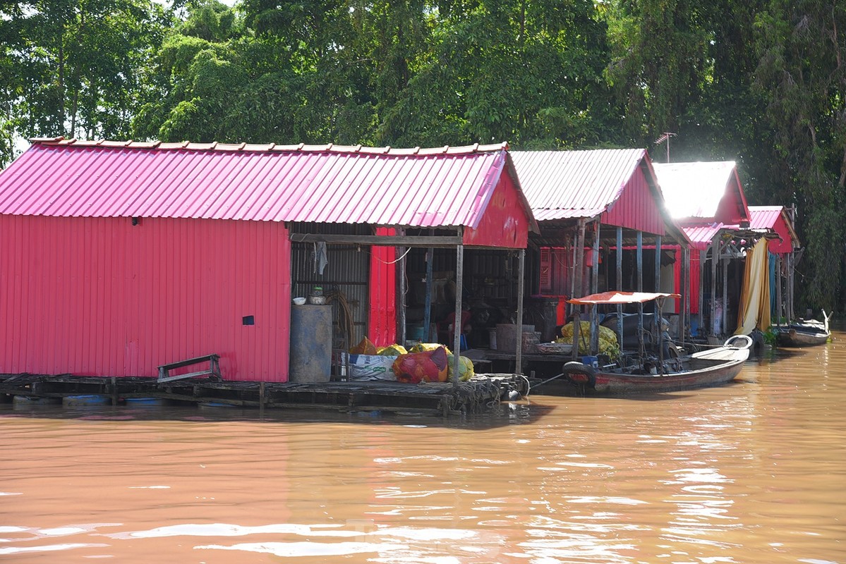 Lang be da sac mau doc dao tren song Chau Doc-Hinh-9