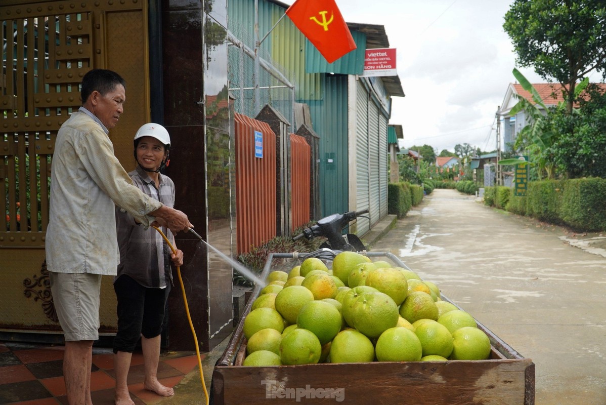 Lu rut, nguoi dan Ha Tinh voi vang thu hoach buoi dac san-Hinh-12