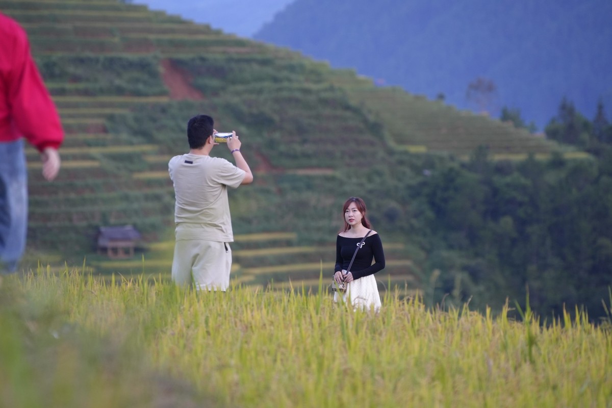 Du khach nuom nuop do ve Mu Cang Chai 