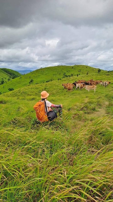 View - 	Thảo nguyên xanh ở Đắk Lắk đẹp mê ly được giới trẻ săn đón 