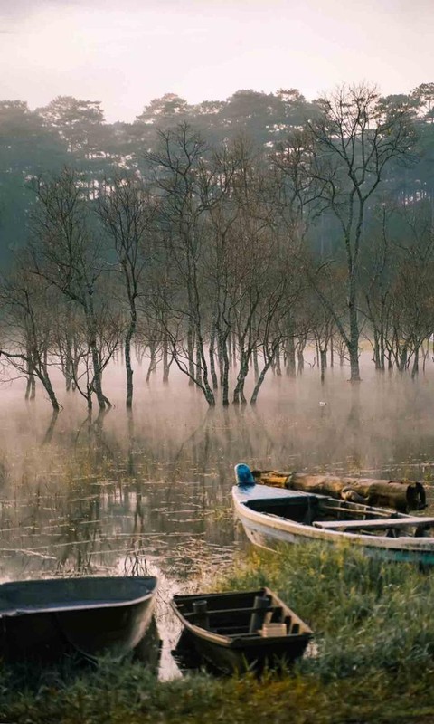 Suoi Tia Da Lat - ve dep nhu chon bong lai tien canh