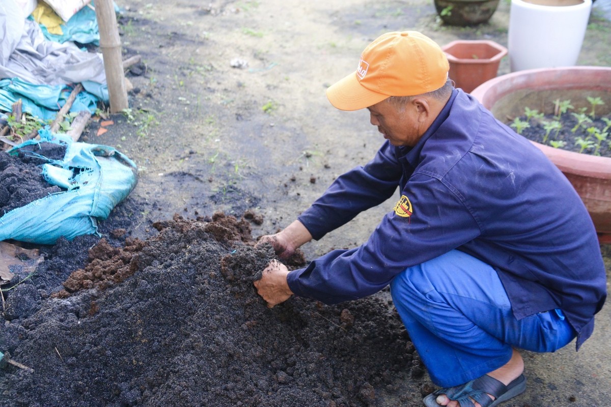 Lang hoa lon nhat Da Nang tat bat ngay dem cham vu hoa Tet-Hinh-4