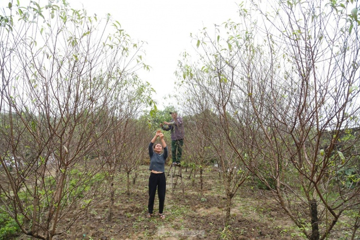 Nguoi trong dao phai tat bat 