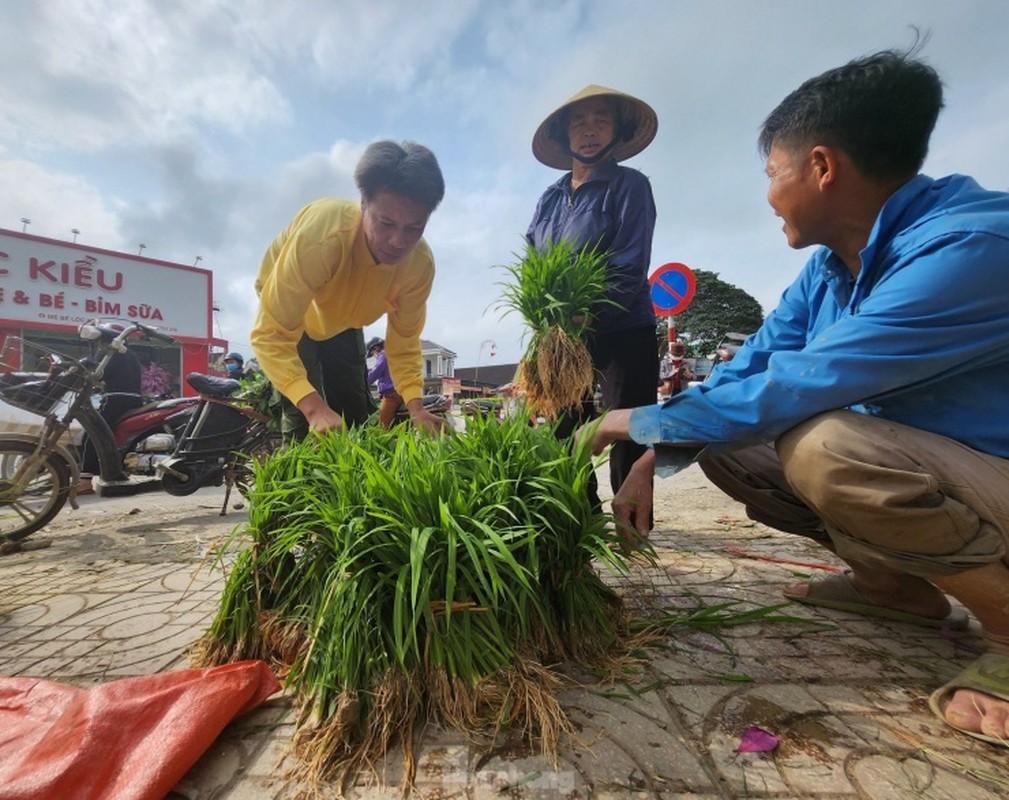 Doc la phien cho ban ma non mot nam hop vai ngay o Nghe An-Hinh-10