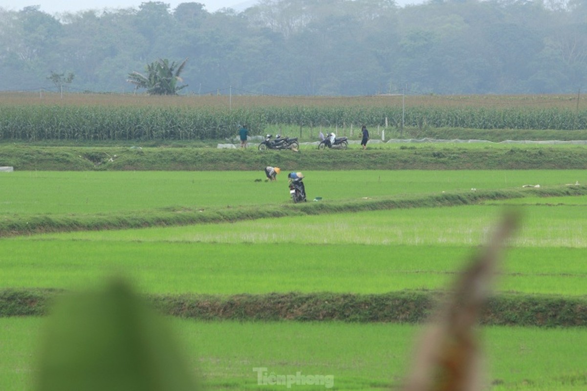 Doc la phien cho ban ma non mot nam hop vai ngay o Nghe An-Hinh-24