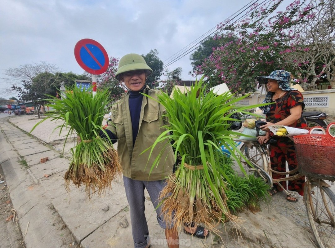 Doc la phien cho ban ma non mot nam hop vai ngay o Nghe An-Hinh-9