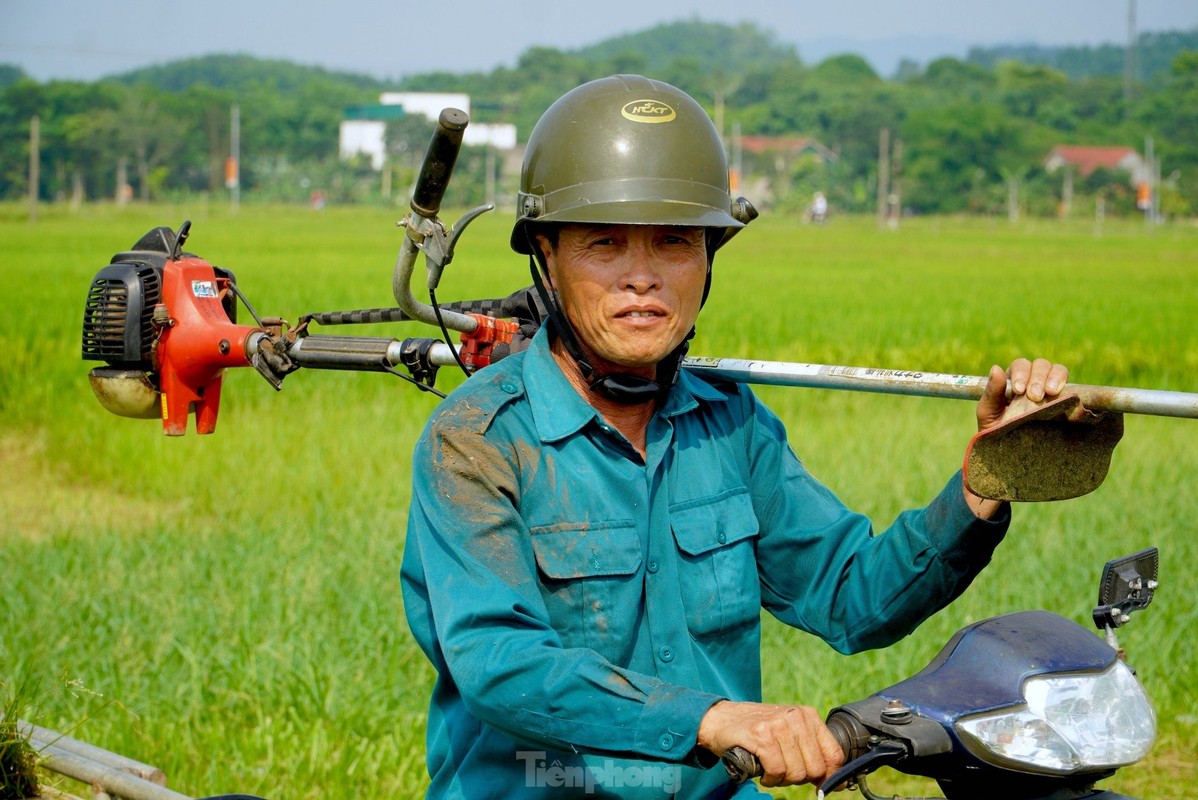 Nong dan vat va muu sinh giua nang nong dinh diem-Hinh-9