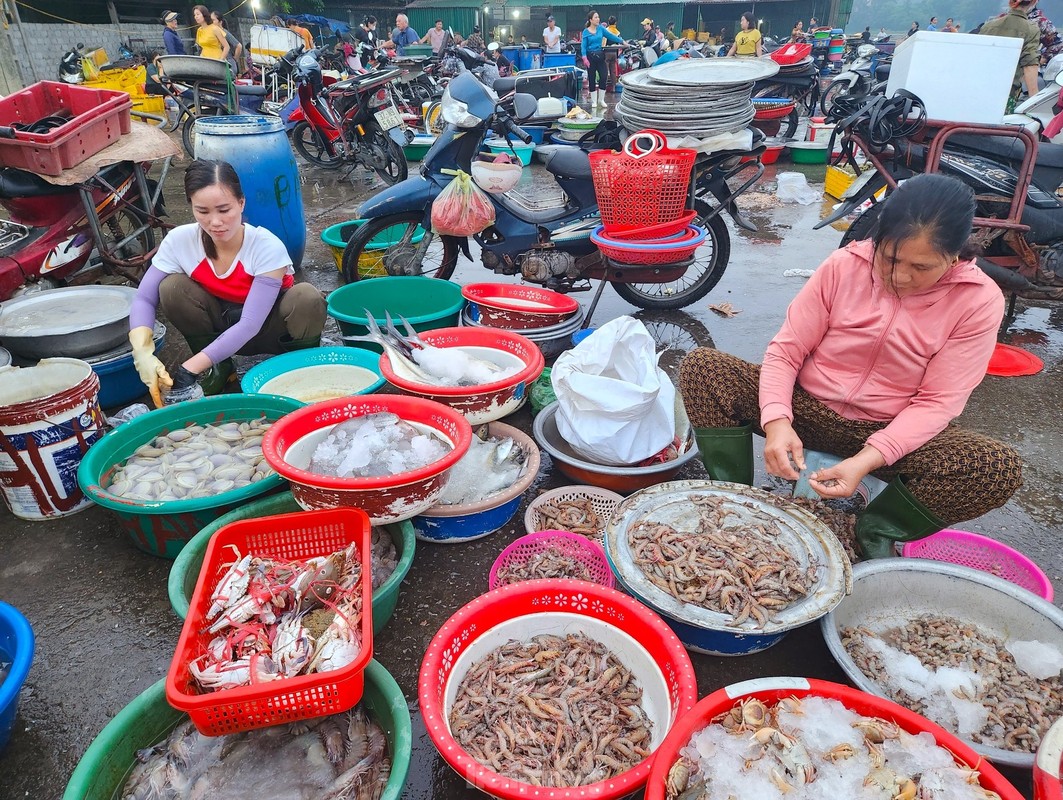 Nhon nhip ben ca Nghi Thuy luc binh minh-Hinh-7