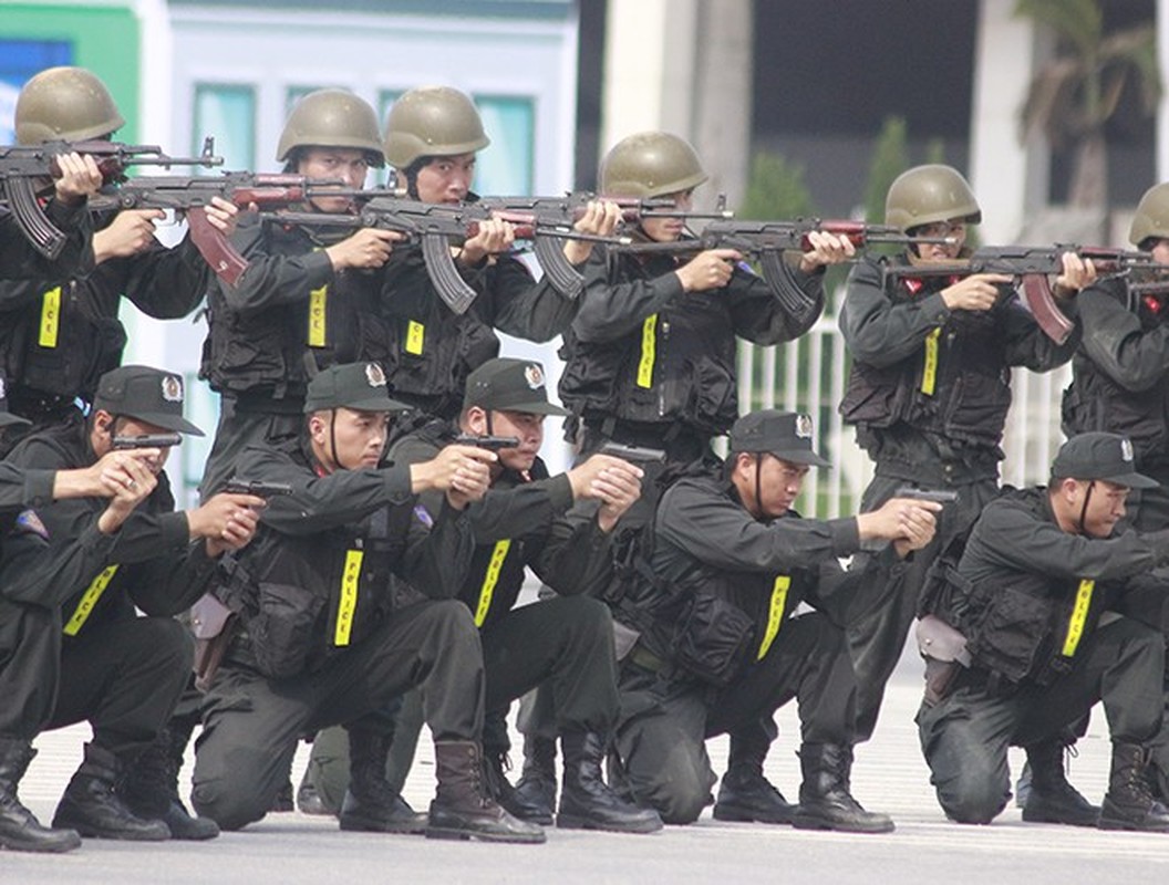 Xem Canh sat Co dong Ha Noi dung dan cay, gay Tonfa chong bao dong-Hinh-8