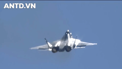 Qua chu trong vao tinh co dong cua Su-57, Su-35: Sai lam cua Nga?