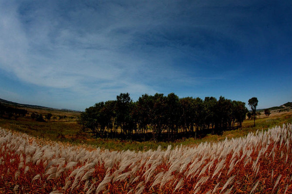 Canh sac troi thu dep hut hon khap the gioi-Hinh-14