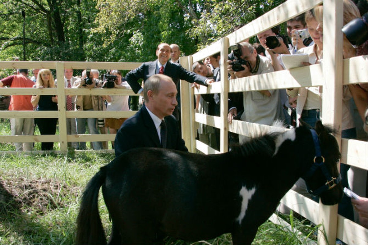 Tong thong Nga Putin don tuoi moi giua “tam bao” Syria-Hinh-9