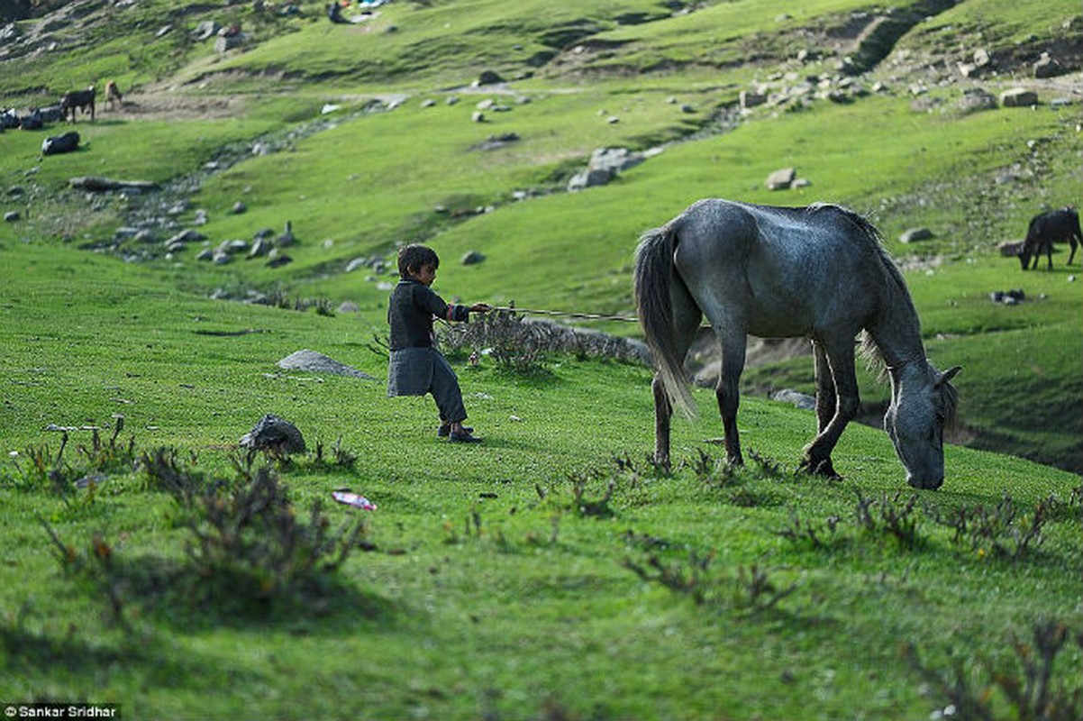 Kham pha cuoc song cua bo toc du muc Bakarwal-Hinh-8