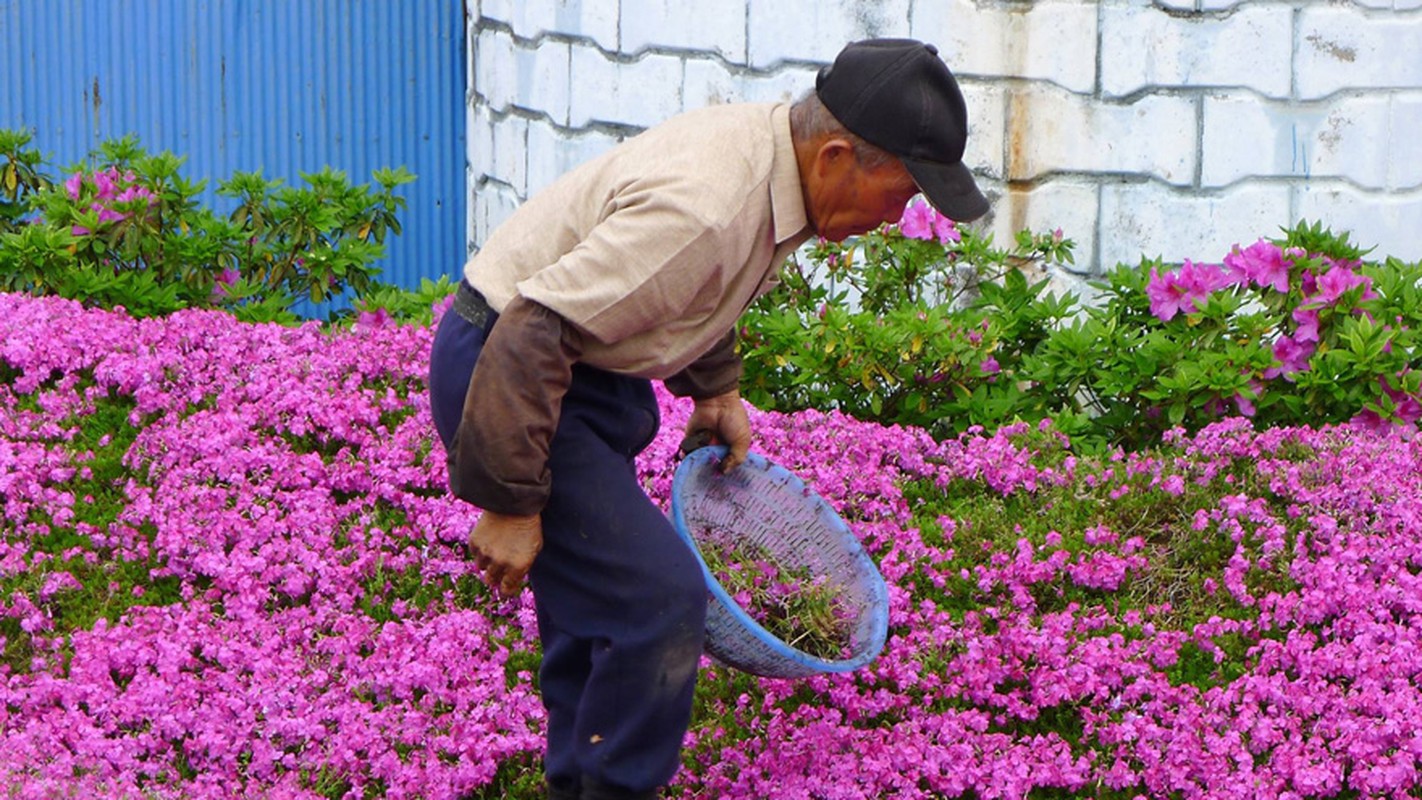 Chuyen tinh cam dong cua cu ong va nguoi vo mu-Hinh-8