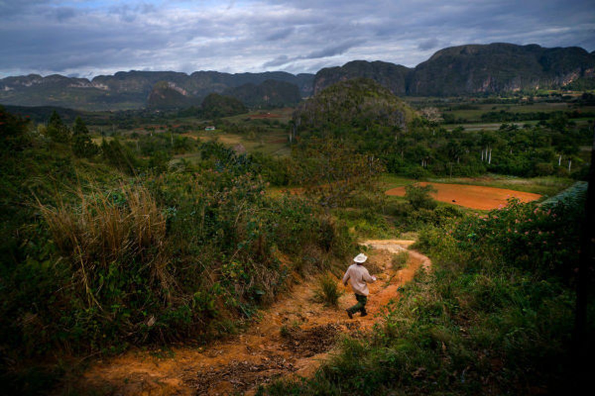 Tan muc trang trai san xuat xi ga noi tieng o Cuba-Hinh-12