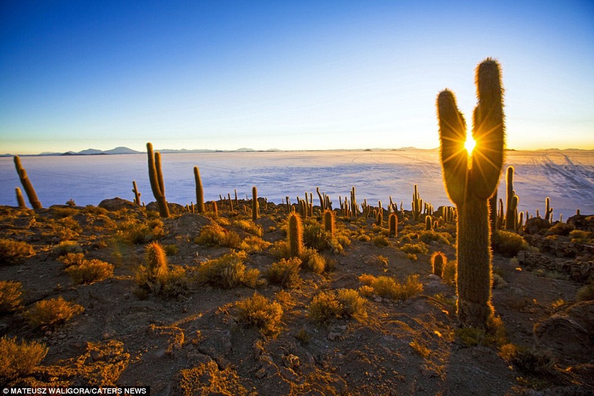 Ve dep bat tan canh dong muoi lon nhat the gioi tai Bolivia-Hinh-4