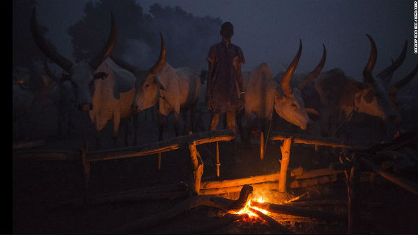 Cuoc song voi dan bo cua bo lac Mundari o Nam Sudan-Hinh-13