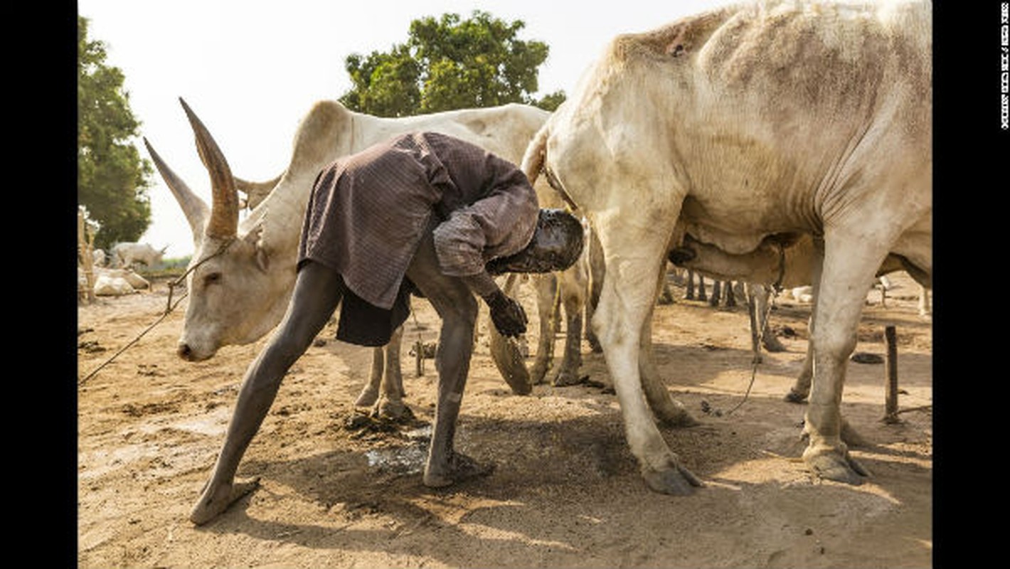 Cuoc song voi dan bo cua bo lac Mundari o Nam Sudan-Hinh-7