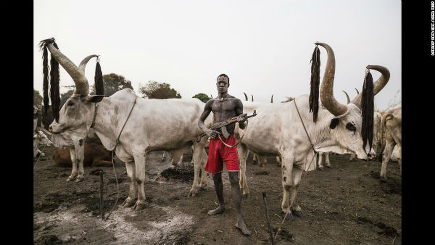 Cuoc song voi dan bo cua bo lac Mundari o Nam Sudan