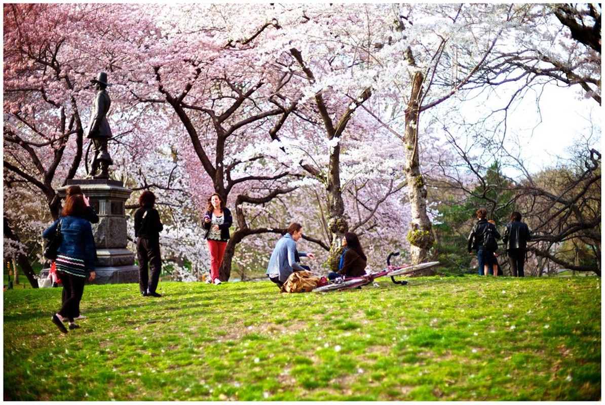 Central Park - Mang xanh khong lo giua New York-Hinh-7