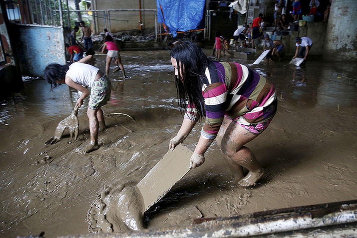 Canh dan chung Philippines khon kho trong mua mua-Hinh-7