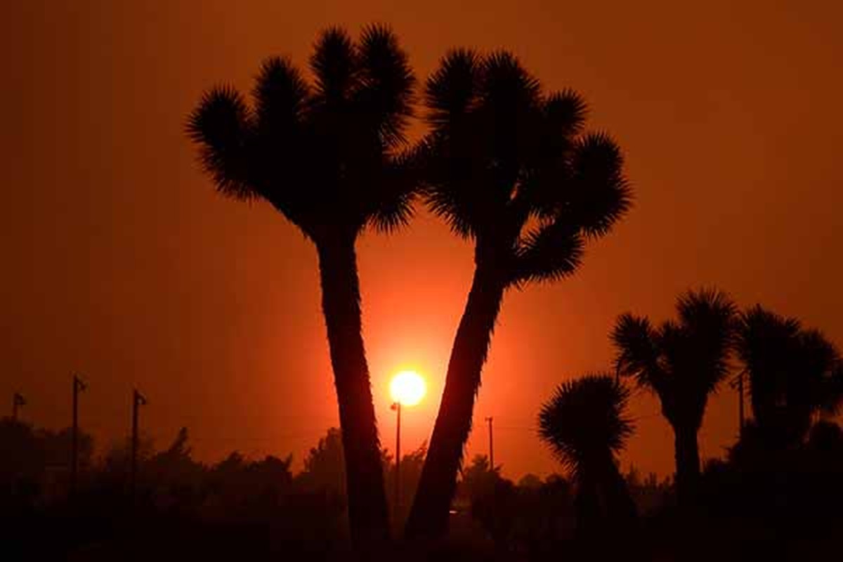 Hinh anh chay rung du doi tai bung phat o California