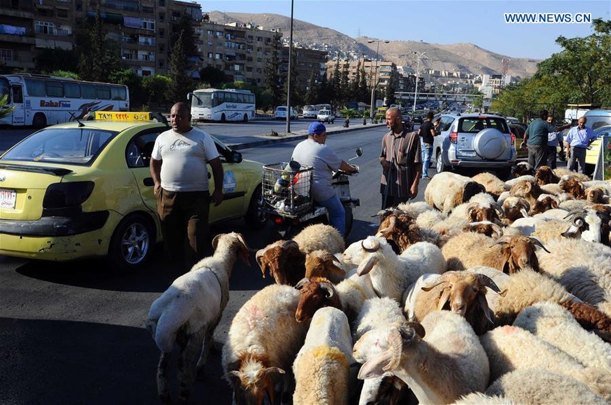 Anh: Nguoi Hoi giao khap the gioi mung le hoi Eid al-Adha-Hinh-9