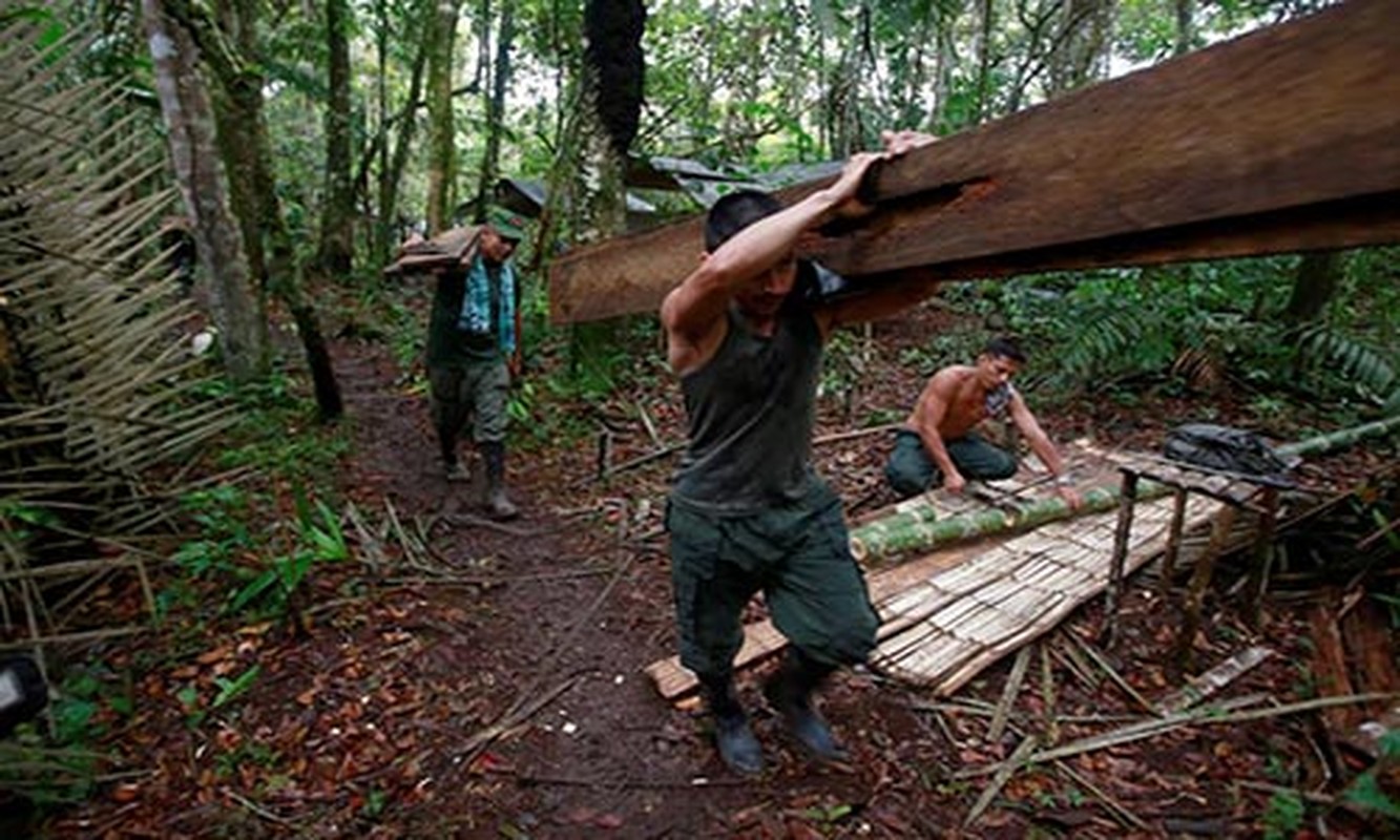 Colombia: FARC ruc rich chuan bi ky thoa thuan hoa binh