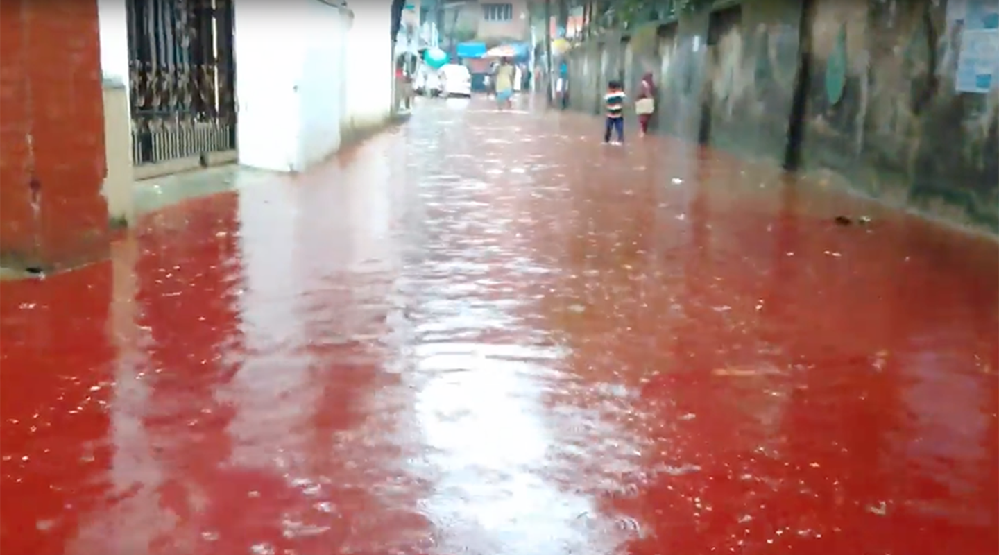 Can canh “dong song mau” tren duong pho thu do Dhaka