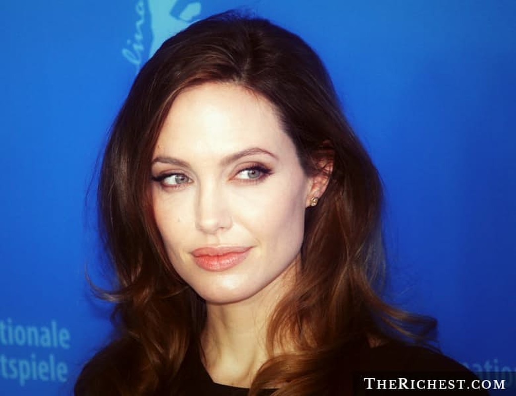 14 ly do khien Angelina Jolie ly hon voi Brad Pitt-Hinh-5
